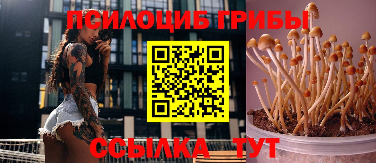 Псилоцибиновые грибы Magic Shrooms Можга