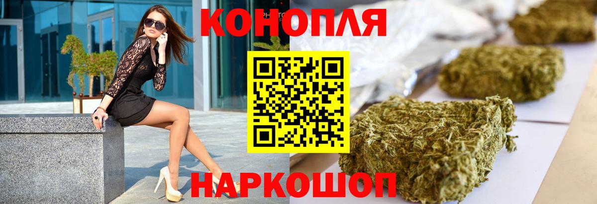 Канабис планчик Можга